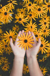 Inicio Close-up of hands holding vibrant yellow daisies, showcasing natural beauty and floral pattern.